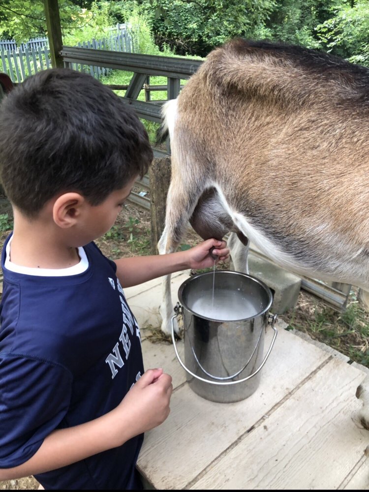 OLDE FOGIE FARM BED & BREAKFAST 32 Photos 106 Stackstown Rd