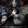 Photo of Above All Transportation