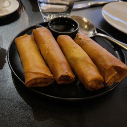 Crispy Vegetable Spring Rolls