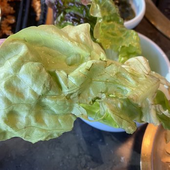 Meet Korean BBQ - Old lettuce - Barbeque Near Me - Seattle, Washington