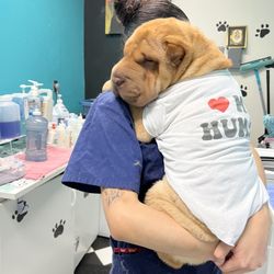 Wet Paws - Love  hugs
