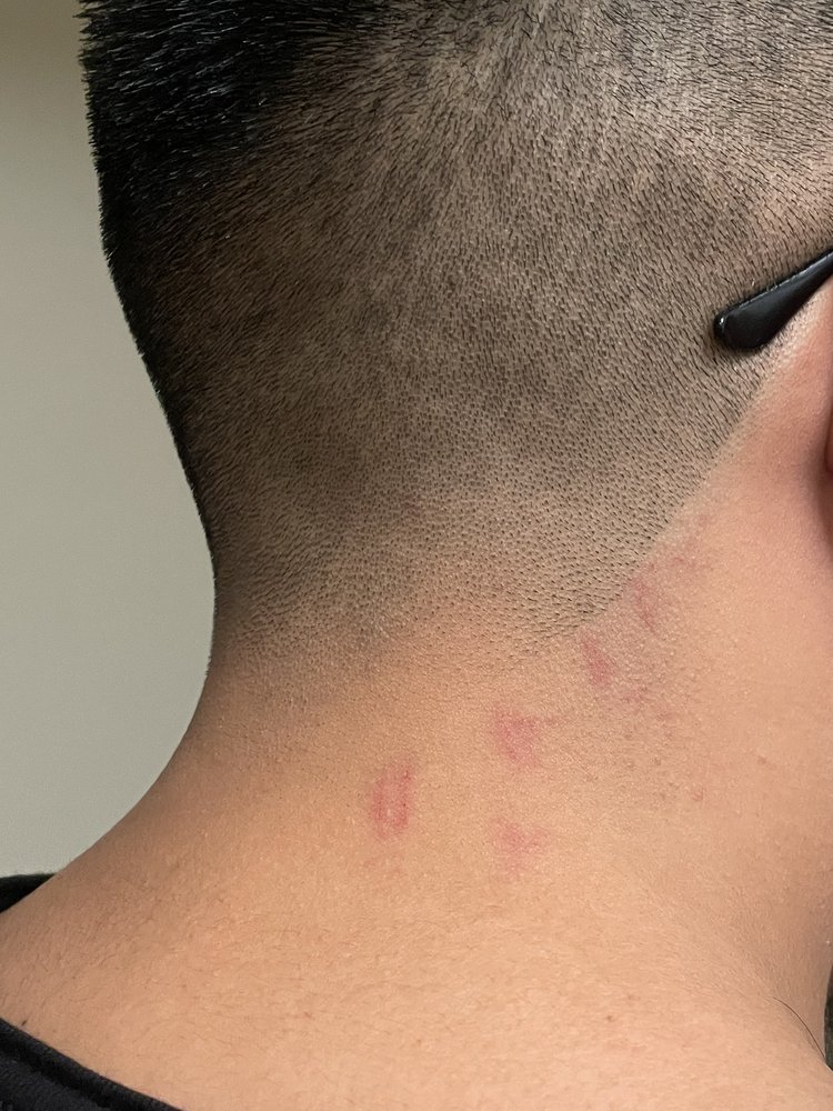 PINEAPPLES 27 Photos & 106 Reviews Yelp