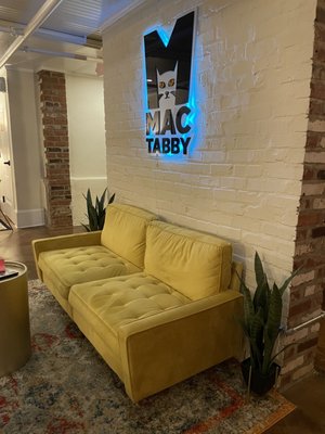 Mac Tabby Cat Cafe - Concord by null