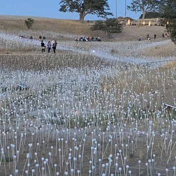 Sensorio - It begins ... warming fires in the distance. - Art Galleries Near Me - Paso Robles, California