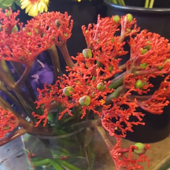 Green - So Rare! - Florists Near Me - Chicago, Illinois
