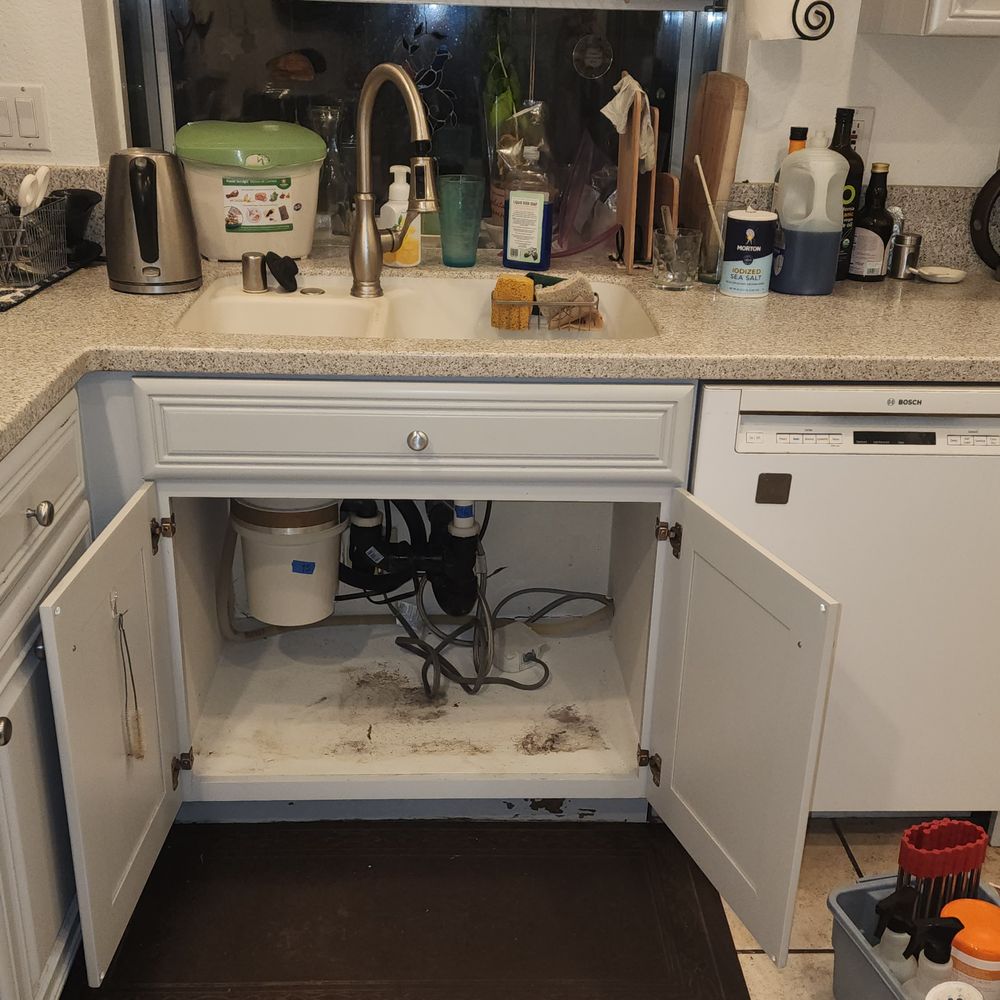 A2Z Restoration - Mold present on the bottom of the cabinet below the sink - Damage Restoration Near Me - Martinez, California A2Z Restoration - Mold present on the bottom of the cabinet below the sink - Damage Restoration Near Me - Martinez, California