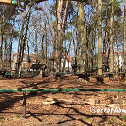 Kletterwald