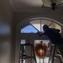 Photo of First Glass Window Treatment