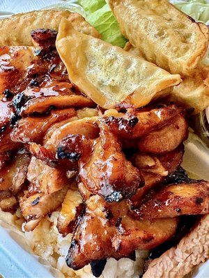 Nikko Teriyaki by null