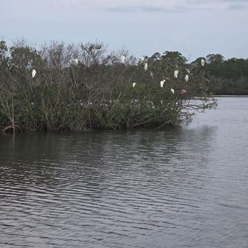 Rose Bay - Port Orange, FL - Campgrounds Near Me - Port Orange, Florida