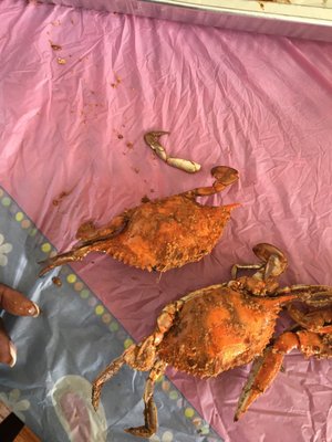 Big Earl's Crabs by null