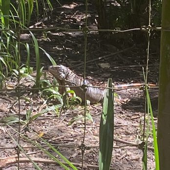 Palm Beach Zoo - Zoos Near Me - West Palm Beach, Florida