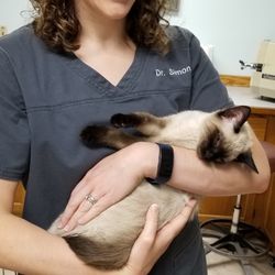 Pleasant Valley Veterinary Clinic