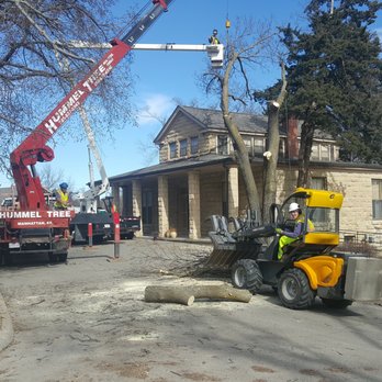 Hummel Tree Service - Tree Services Near Me - Manhattan, Kansas Hummel Tree Service - Tree Services Near Me - Manhattan, Kansas