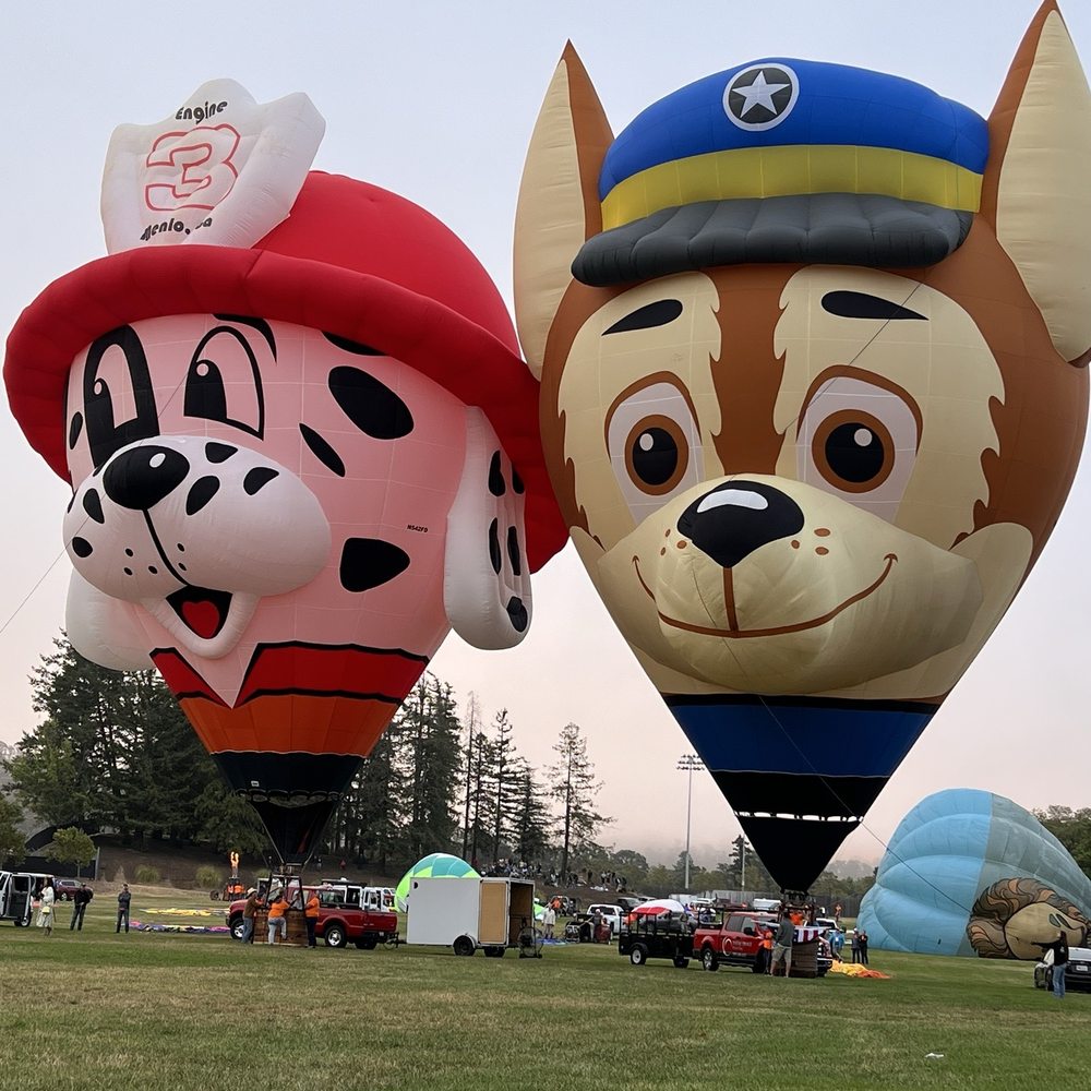 THE BEST 10 HOT AIR BALLOONS in YUBA CITY, CA - Updated 2026 - Hours - Yelp