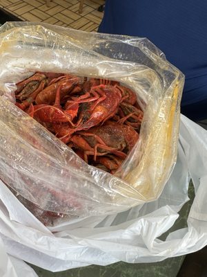 Capt. Sal's Seafood & Chicken by null