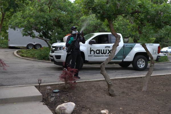 HAWX PEST CONTROL 44 Photos 167 Reviews 5555 N Lamar Blvd Austin 