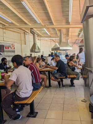 Tacos El Franc by null