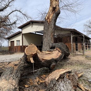 Wheeler’s Tree Surgeons - Tree Services Near Me - Springtown, Texas Wheeler’s Tree Surgeons - Tree Services Near Me - Springtown, Texas
