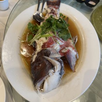 Happy Together - Dim Sum Near Me - El Monte, California