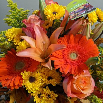 Jeannettes Flowers - Florists Near Me - Campbell, California Jeannettes Flowers - Florists Near Me - Campbell, California