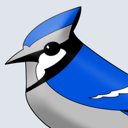BLUE JAY TAX - Blue Jay Tax - Professional tax preparers in Venice, FL