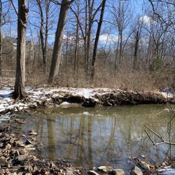 Runnymeade Park