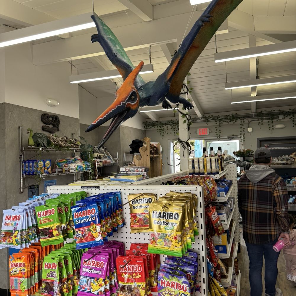 The Camp Store - Pizza Near Me - Carlsbad, California