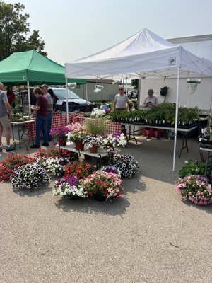Rochester Farmers Market- Saturdays Graham Park! by null