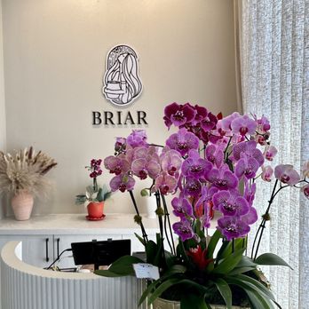 Briar Beauty Spa - Day Spas Near Me - Alhambra, California