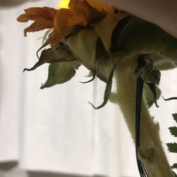 Flower Box Florist