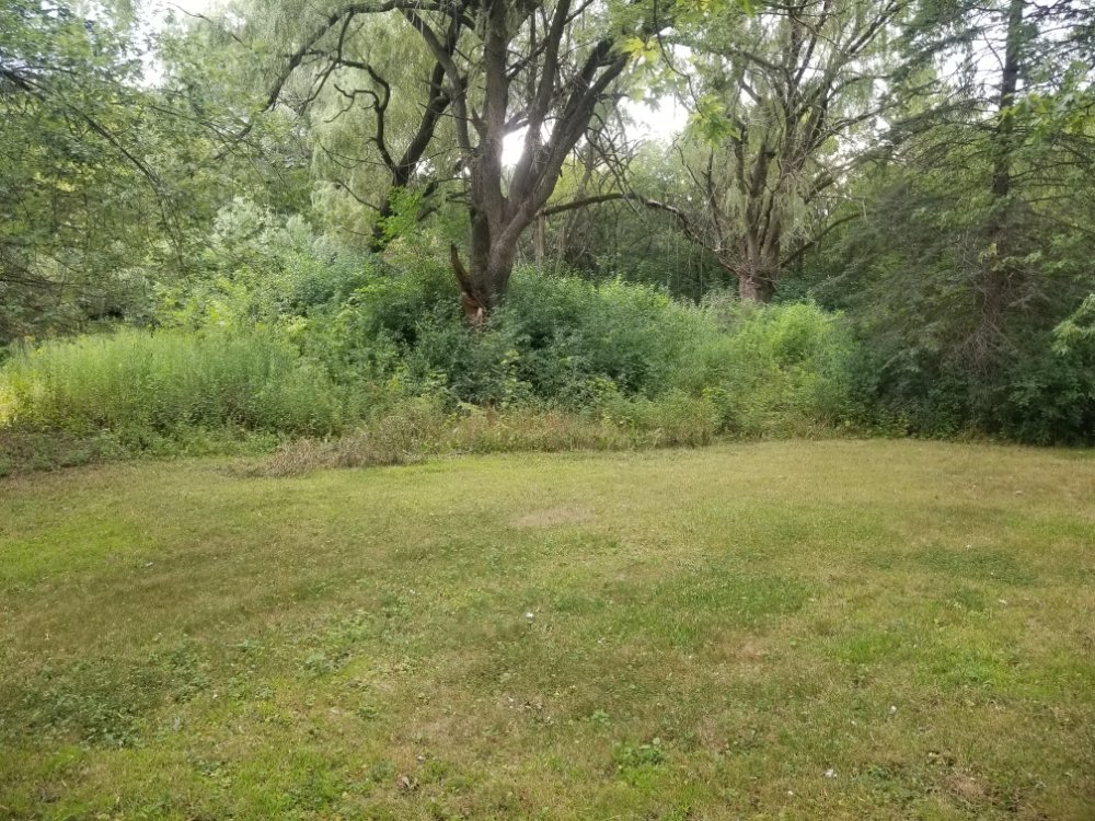 Slide of BFH Services