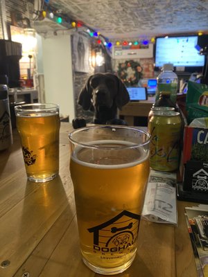 Doghaus Brewery by null