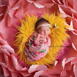 Malka Ahmed Photography