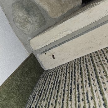 Great Wolf Lodge - Spiders by the fireplace - Resorts Near Me - Scotrun, Pennsylvania
