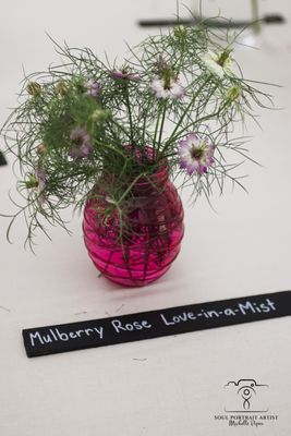 Baker Creek Heirloom Seed Company by null