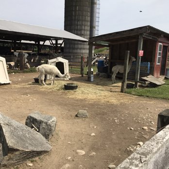 Great Brook Farm State Park - Dog Parks Near Me - Carlisle, Massachusetts