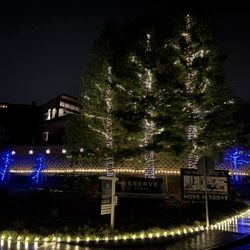 Alex's Holiday Lighting