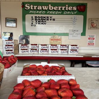 Las Posas Berries - prices - Farmers Market Near Me - Camarillo, California
