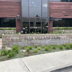 Accelerate Physical Therapy