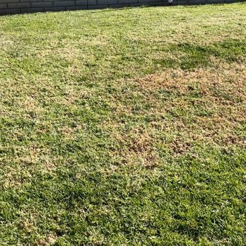 Garcia’s Landscaping - Clean - Landscaping Near Me Garcia’s Landscaping - Clean - Landscaping Near Me