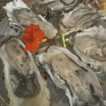Perch Rooftop Dining - Oysters on a half shell - Steakhouses Near Me - Jamestown, California Perch Rooftop Dining - Oysters on a half shell - Steakhouses Near Me - Jamestown, California