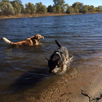 Dog Island - Pet Services Near Me - Grand Island, Nebraska Dog Island - Pet Services Near Me - Grand Island, Nebraska
