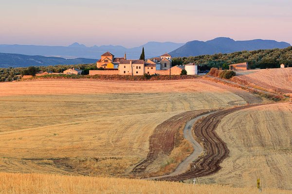 Hotel Cortijo del Marqués by null
