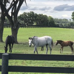 Bridlewood Farm