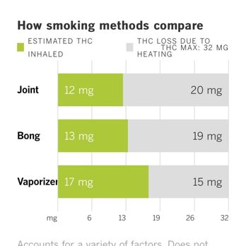 Discreet Medical Marijuana MD - Medical Cannabis Referrals Near Me - Boca Raton, Florida Discreet Medical Marijuana MD - Medical Cannabis Referrals Near Me - Boca Raton, Florida