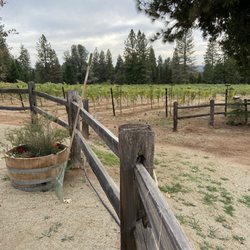 Rucksack Cellars - Vineyard