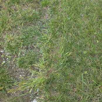 ExperiGreen Lawn Care - Pest Control Near Me - Indianapolis, Indiana