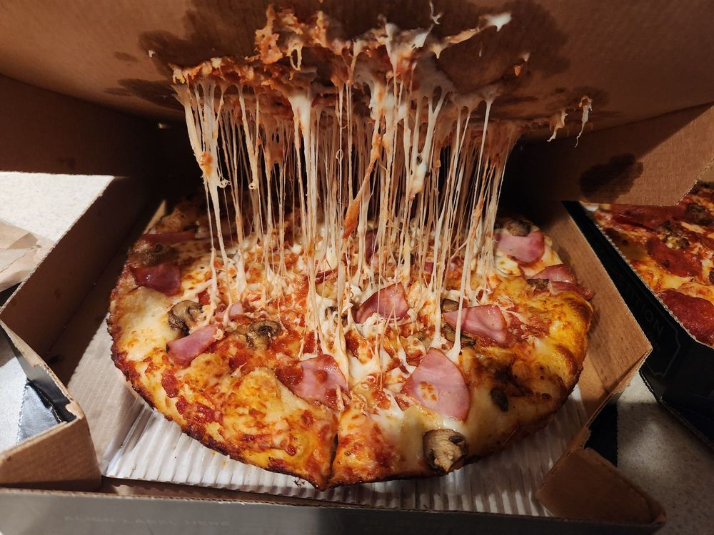 Domino's Pizza Logo
