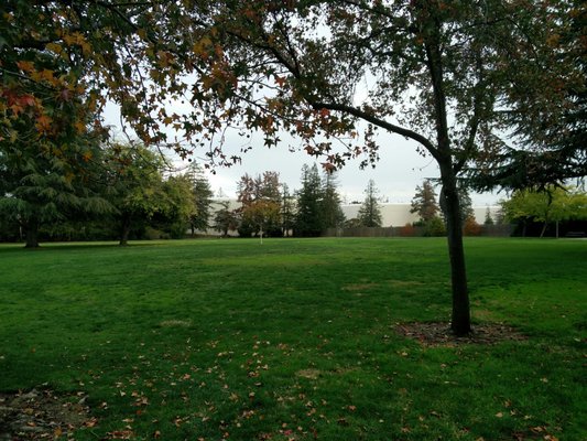Jenny Strand Park by null